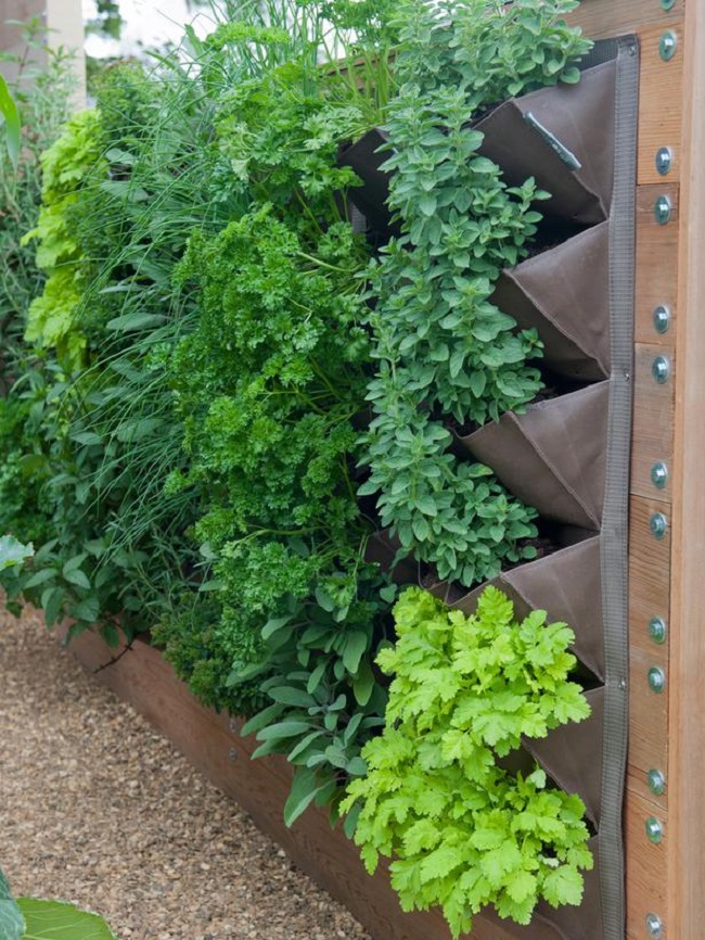 Living Herb Wall Wall Design Ideas